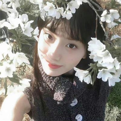 亚当和伊夫
